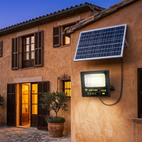 Foco LED con placa solar 100 W